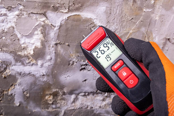 Best Post-Flood Mold Remediation in Silver City, NM