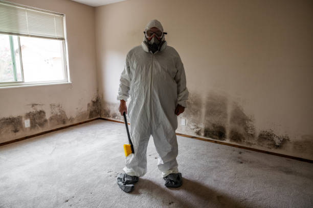 Best Mold Testing and Inspection Services in Silver City, NM